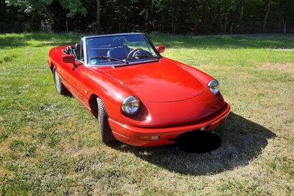 Alfa Romeo Spider 96.120 km 15.000 &euro; Herne 44628