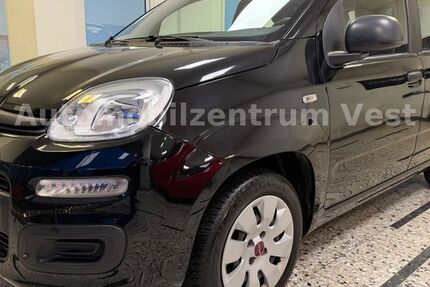 Fiat Panda 36.000 km 5.980 &euro; Recklinghausen 45657