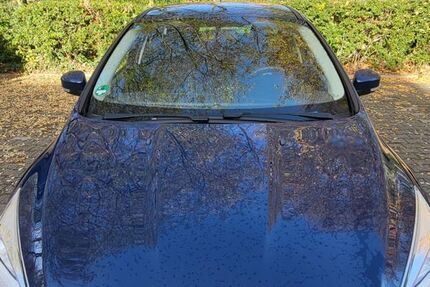 Ford Focus 74.196 km 6.300 &euro; Gelsenkirchen 45881