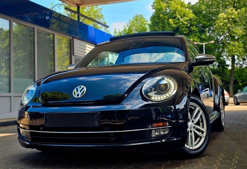 Beetle
