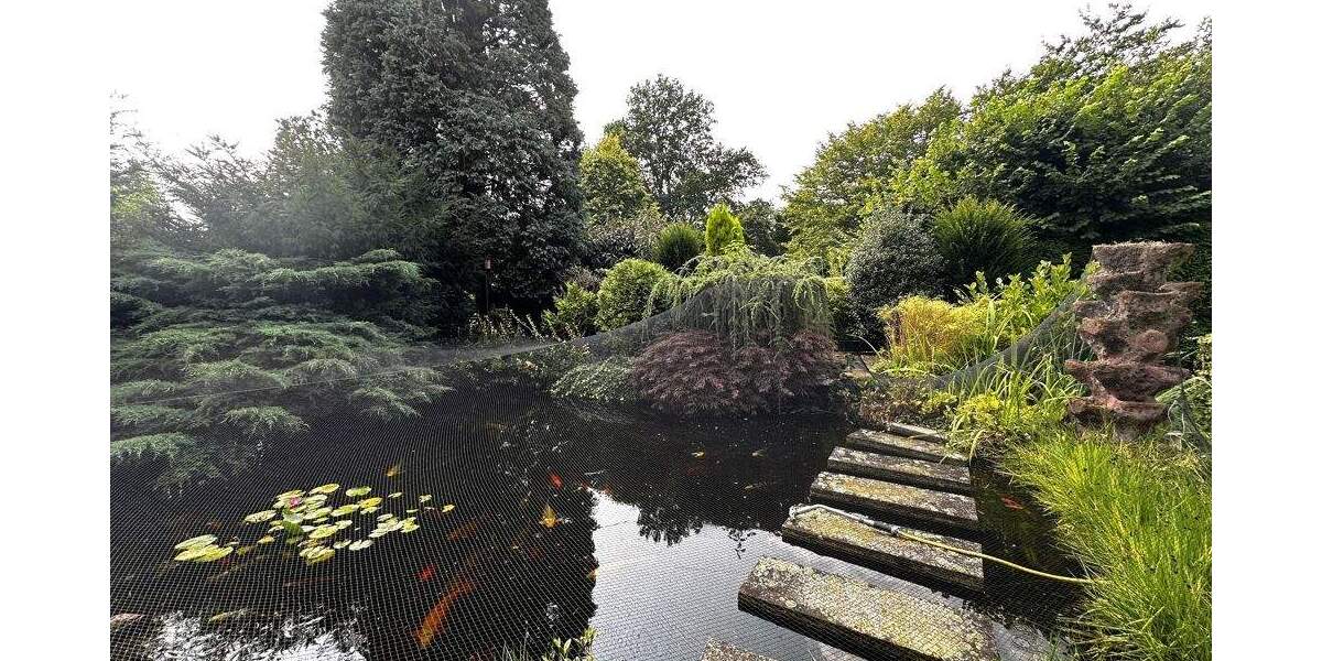 Zwei gepflegte Mehrfamilienhäuser in ruhiger Lage von Gelsenkirchen-Horst! zimmer