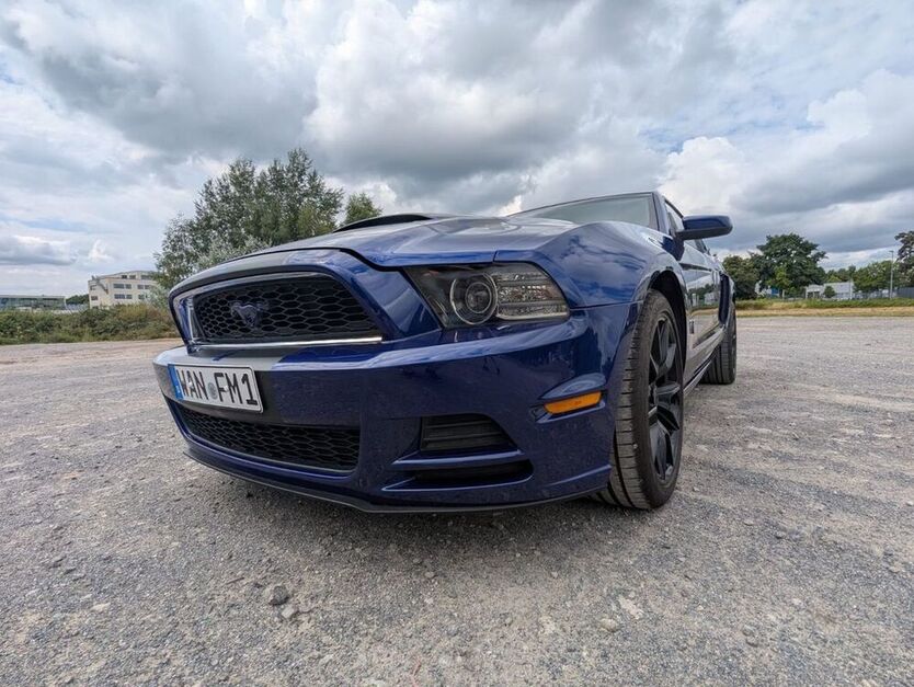 Mustang