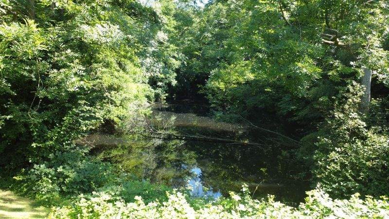 Eigentumswohnung in Haarzopf mit Weitblick ins Grüne! 3 zimmer