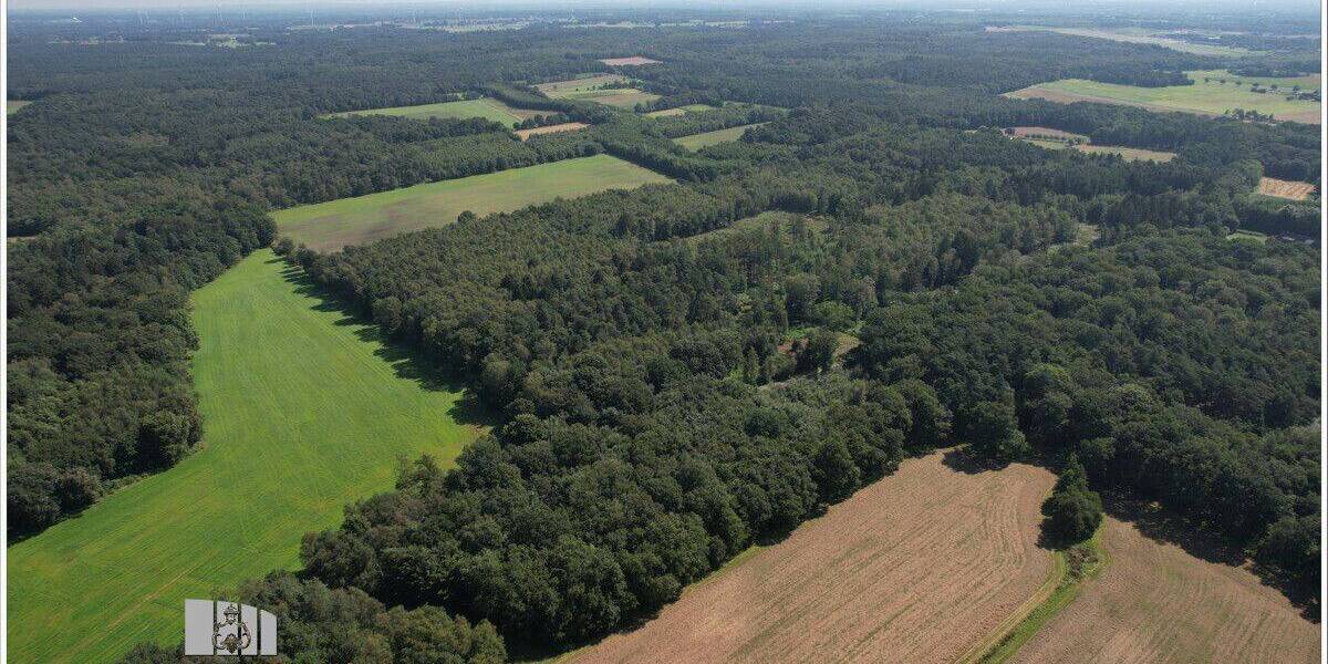 Mehrfamilienhaus, Wohnhaus Hünxe / Hünxer Heide Hünxe - 5 Zimmer, 300 m&sup2;, 560.250&euro; | Angebot:26904193