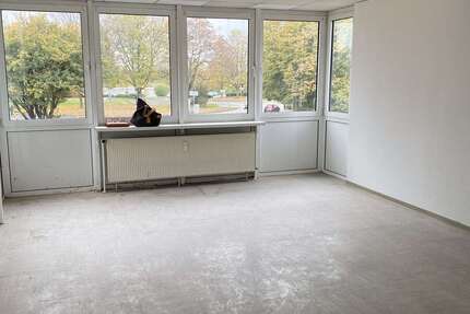 Wohnung zum Mieten in Duisburg 490 € 50 m² 2 zimmer