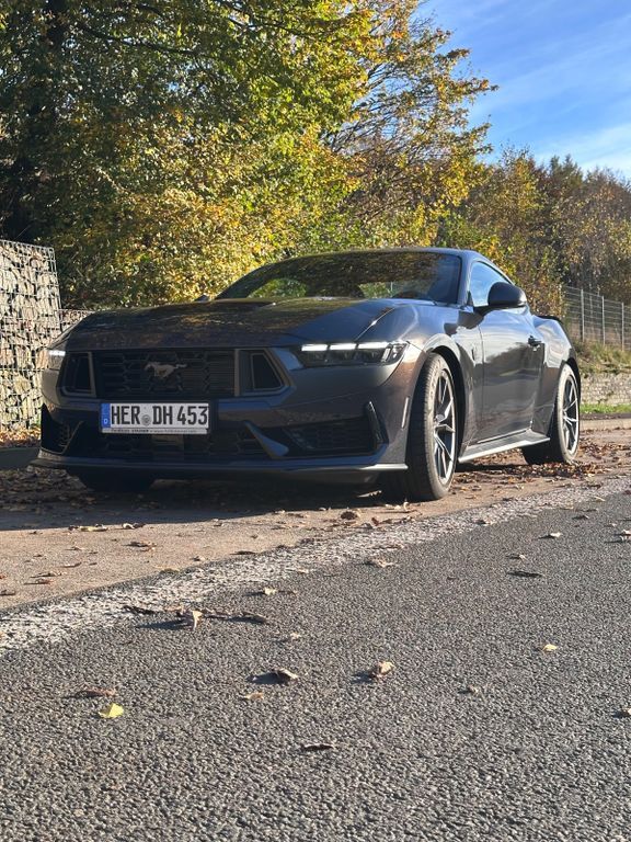 Mustang
