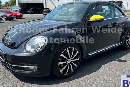 VW Beetle