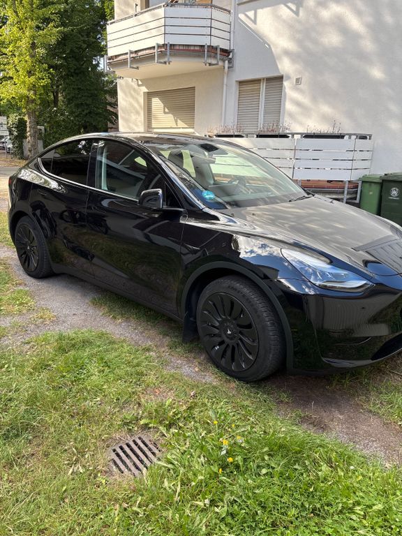 Model Y