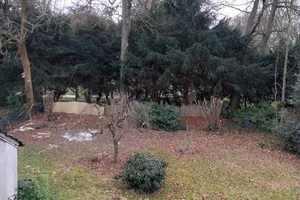 Wohnung Bochum Günnigfeld - 4 Zimmer, 120 m&sup2;, 900&euro; | Angebot:25393014