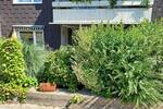 Etagenwohnung Bochum Wattenscheid - 2 Zimmer, 89 m&sup2;, 179.000&euro; | Angebot:25770859