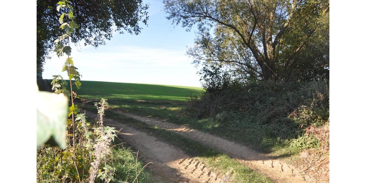 Terrassenwohnung Düsseldorf Stadtbezirk 7 - 2 Zimmer, 40 m&sup2;, 200.000&euro; | Angebot:25649534