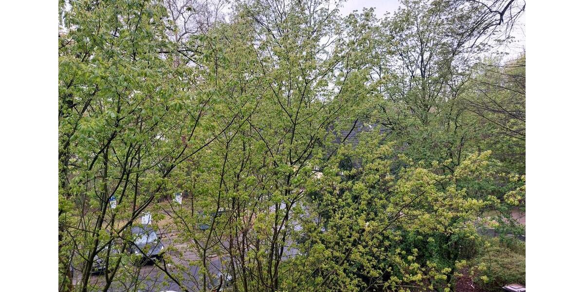 Etagenwohnung Erkrath - 2 Zimmer, 98 m&sup2;, 298.500&euro; | Angebot:26364949