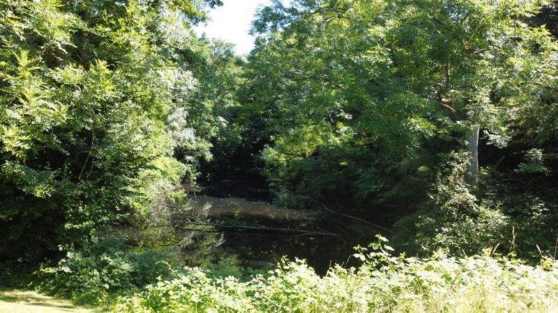 Eigentumswohnung in Haarzopf mit Weitblick ins Grüne! 3 zimmer