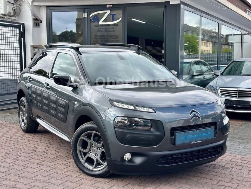 C4 Cactus