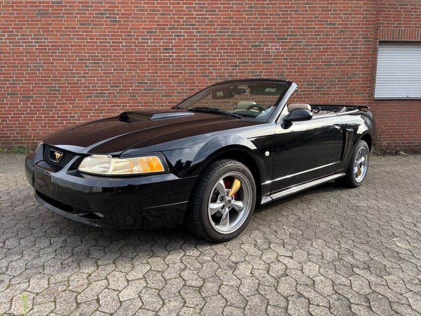 Mustang