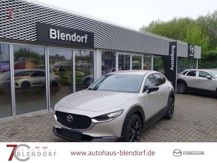 CX-30