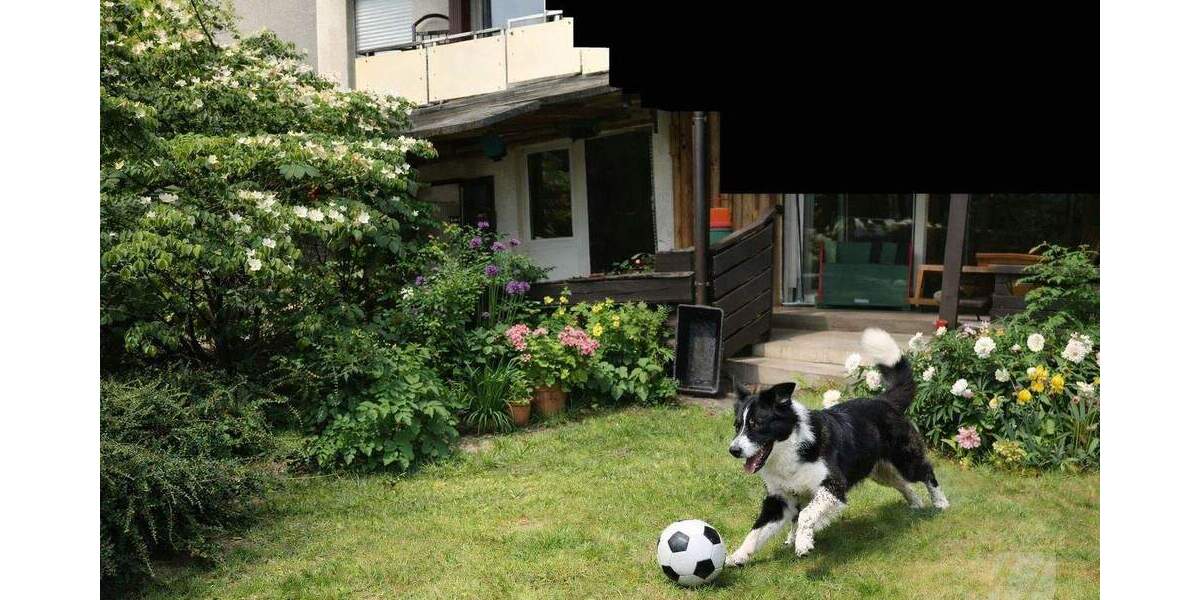 Etagenwohnung Essen Altenessen-Nord - 4 Zimmer, 154 m&sup2;, 399.000&euro; | Angebot:24656814