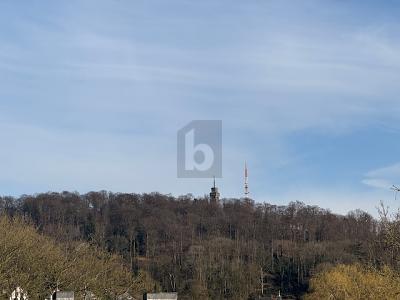 PERFEKTE WOHNLAGE UND UNVERBAUBARE FERNSICHT - Grundstück Velbert Langenberg | Angebot:26364270