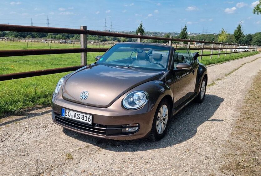 Beetle