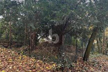 NATURNAH UND RUHIG - IHR NEUES ZUHAUSE - Grundstück Bochum Bochum-Nord | Angebot:24992033