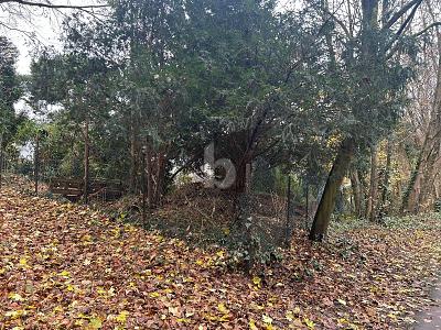 NATURNAH UND RUHIG - IHR NEUES ZUHAUSE - Grundstück Bochum Bochum-Nord | Angebot:24992033