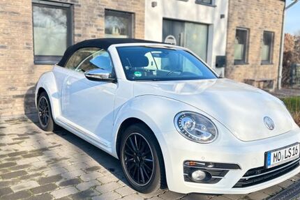 VW Beetle 103.000 km 13.500 &euro; Alpen 46519