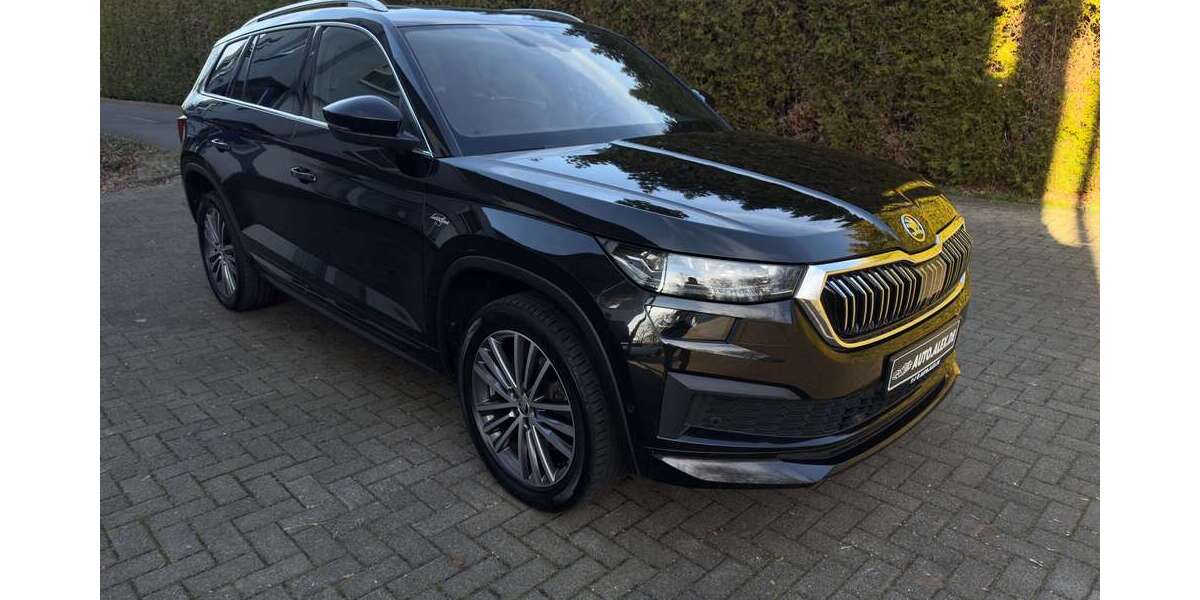 Skoda Kodiaq 119.100 km 33.000 &euro; Tönisvorst 47918