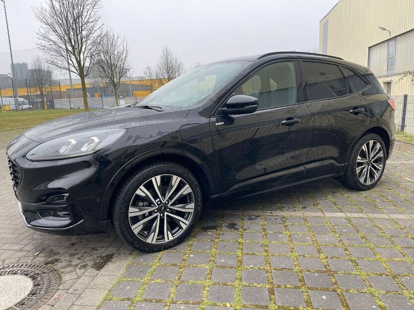 Kuga