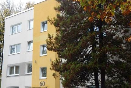 3,5-Zimmer-Wohnung: wir renovieren für Sie 3 zimmer