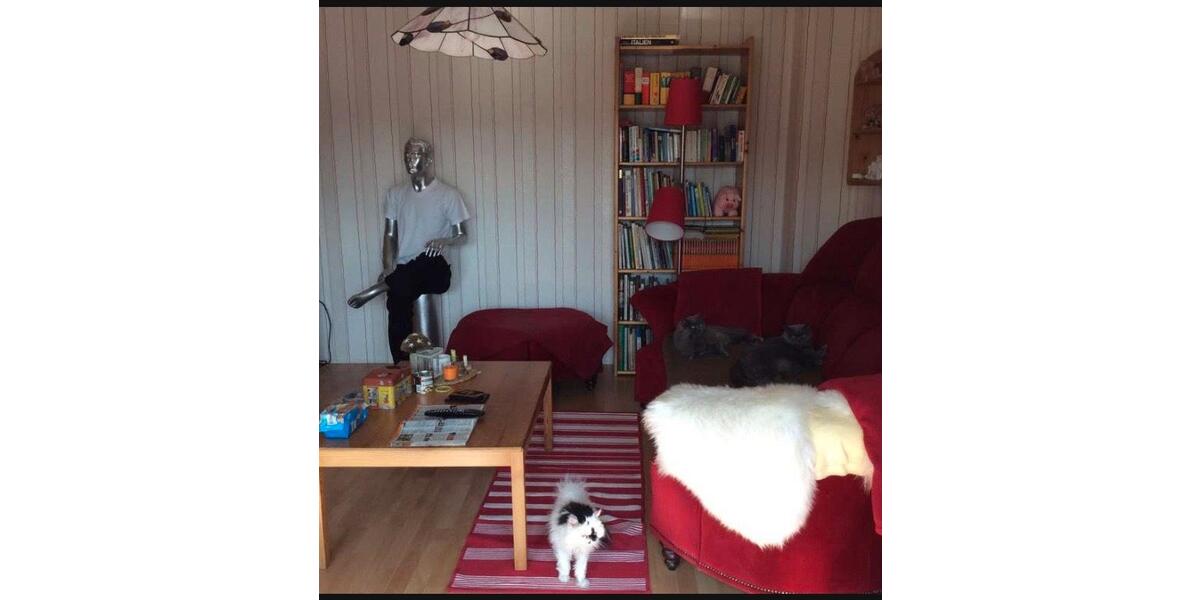 3 12 Zimmer Wohnung zimmer