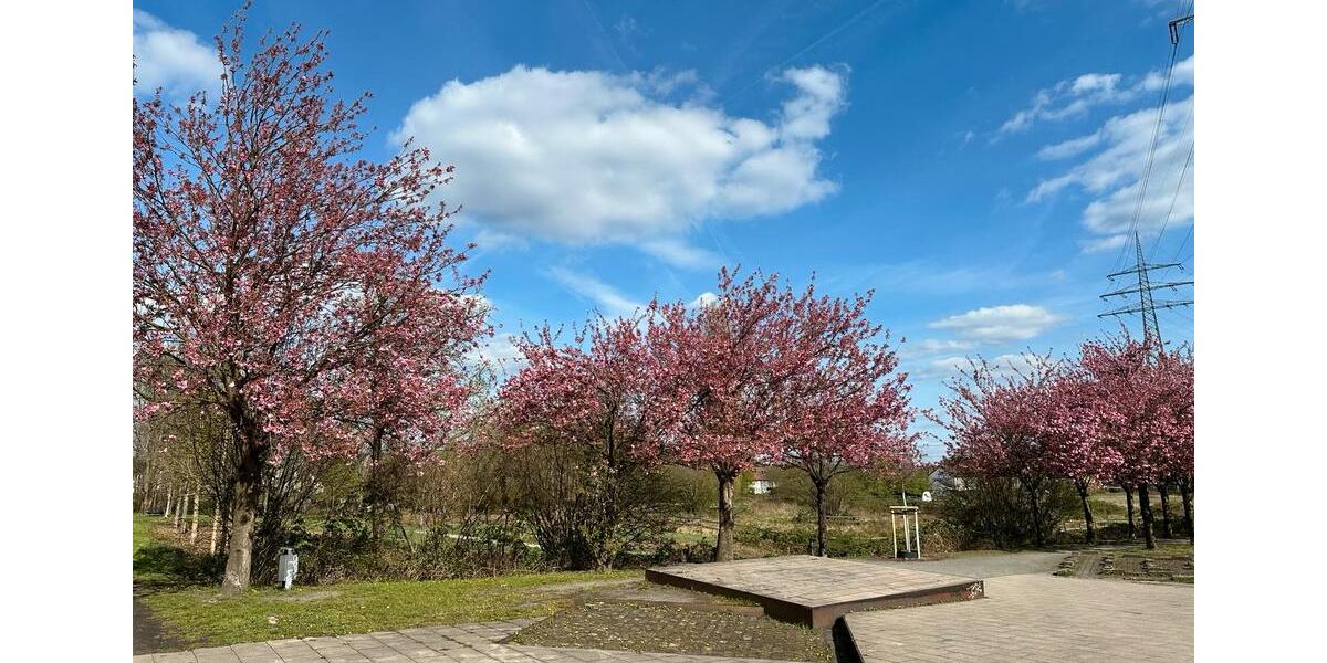Terrassenwohnung Recklinghausen Grullbad - 1 Zimmer, 35 m&sup2;, 590&euro; | Angebot:26222195
