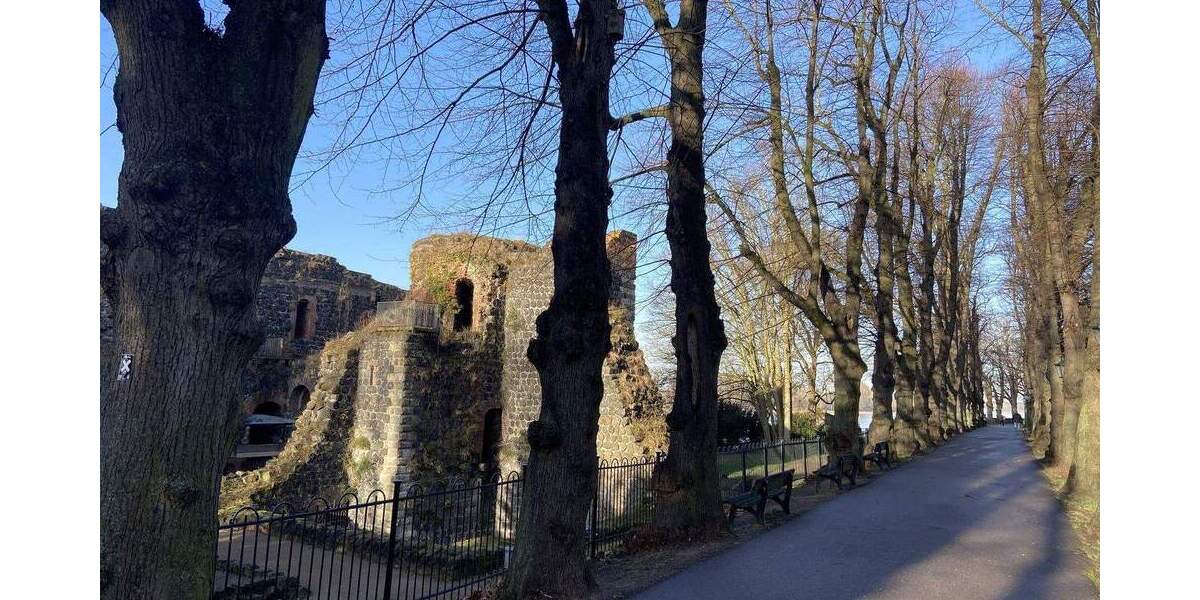 Provisionsfrei: Niedrigenergiehaus, bezugsfertig in Düsseldorf-Kalkum, Süd-West-Lage 3 zimmer