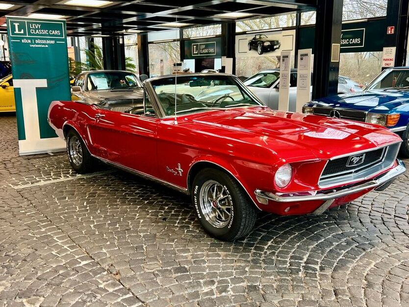 Mustang