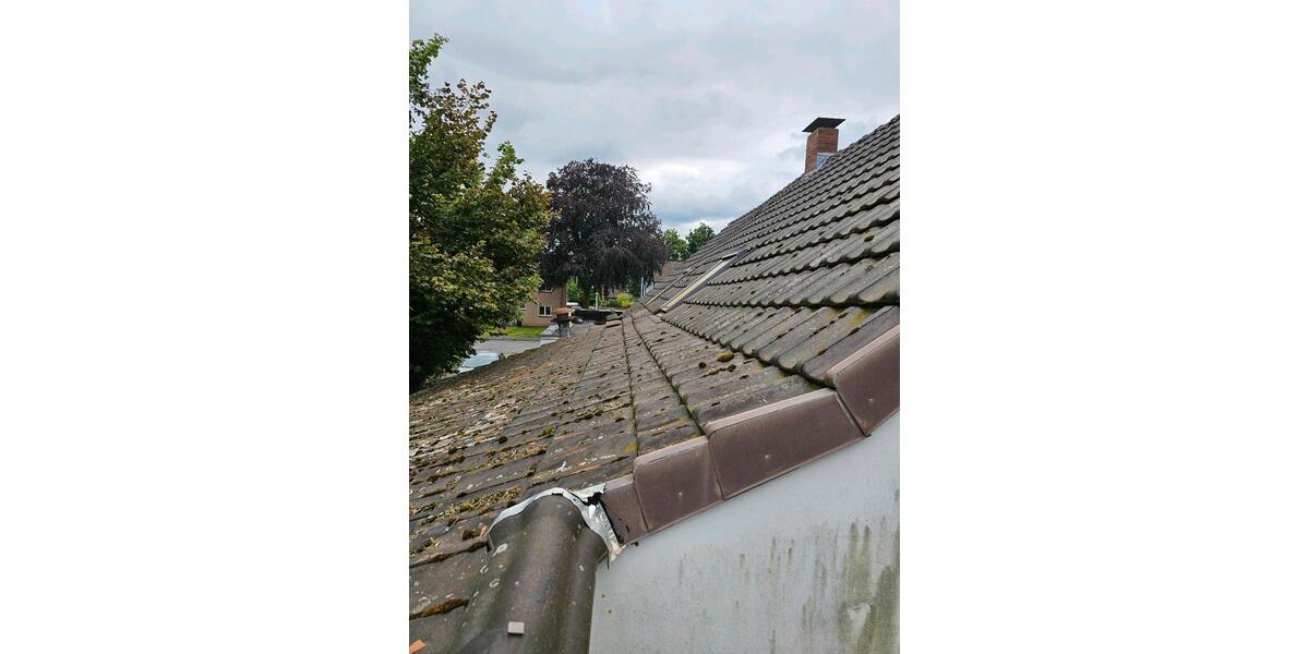 Wohn Geschäftshaus Stellplätze Bauland zimmer