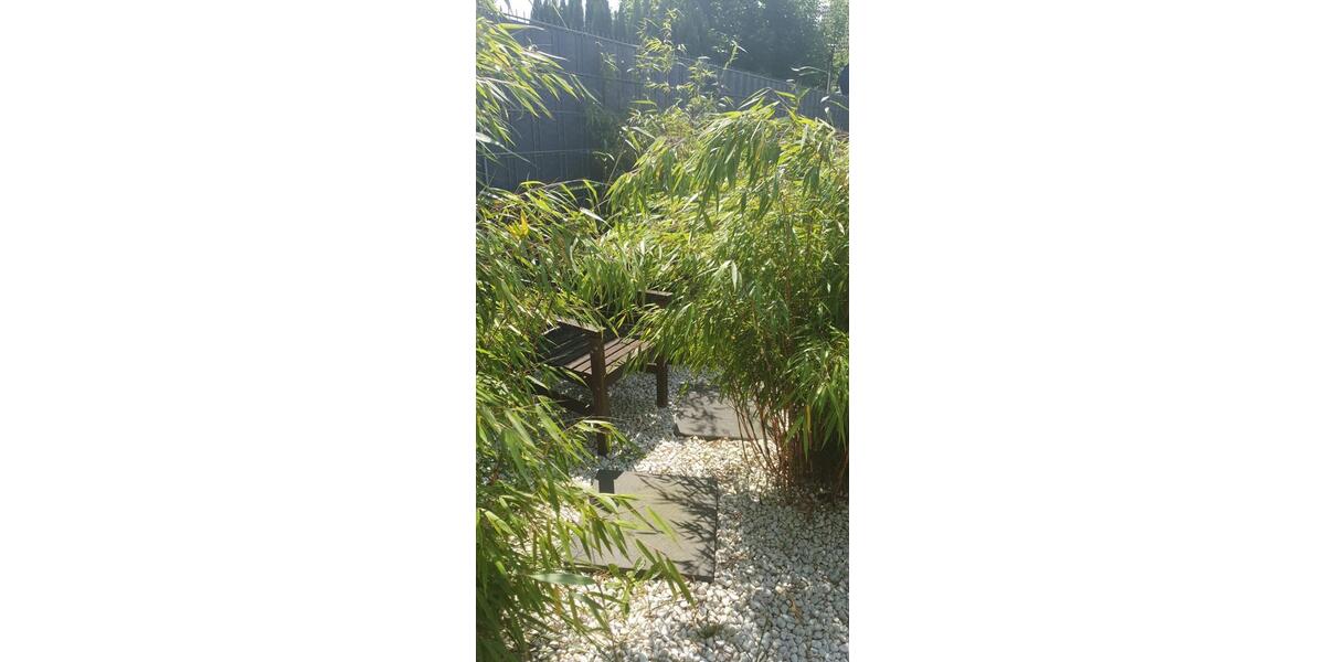 Reihenhaus Gelsenkirchen Gelsenkirchen-Nord - 3 Zimmer, 76 m&sup2;, 235.000&euro; | Angebot:25370085