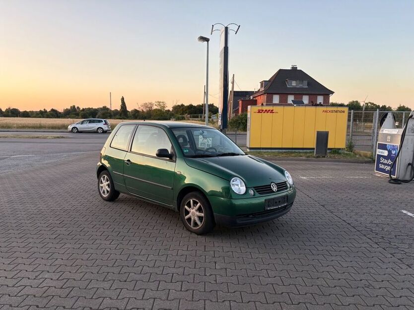 Lupo