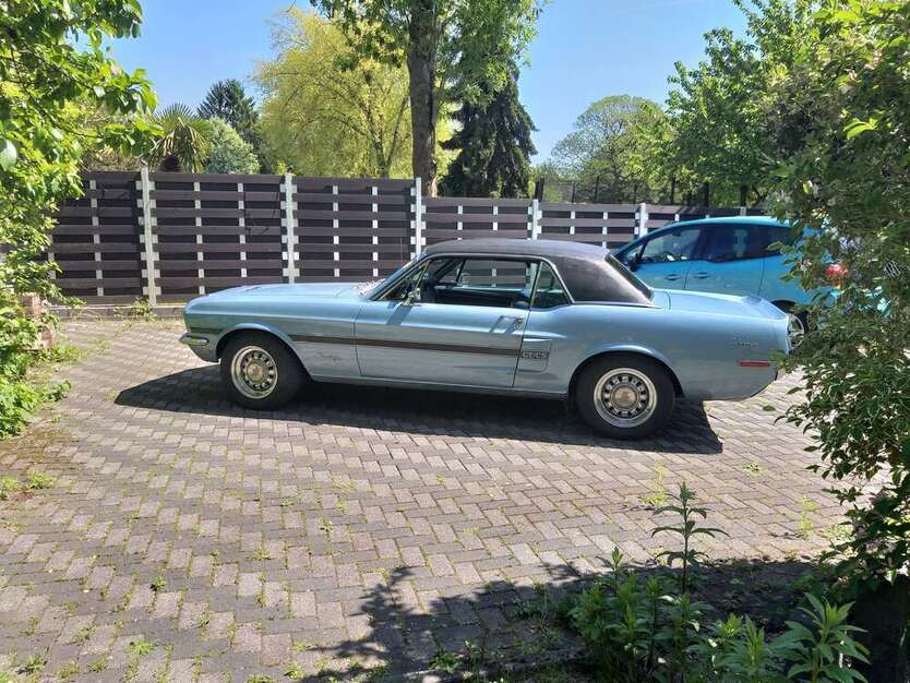 Mustang