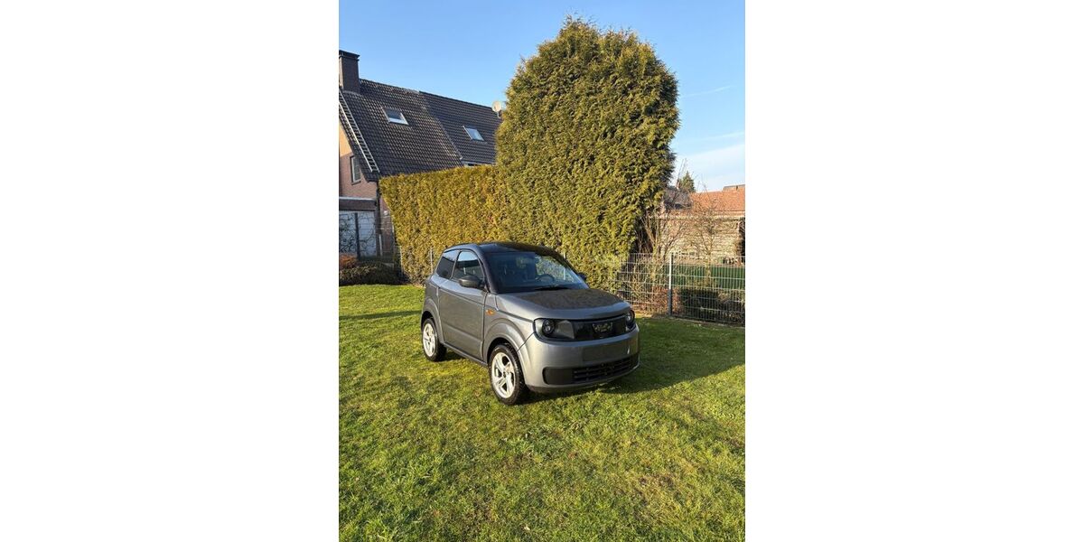 Ligier Myli 33.000 km 11.800 &euro; Schermbeck 46514