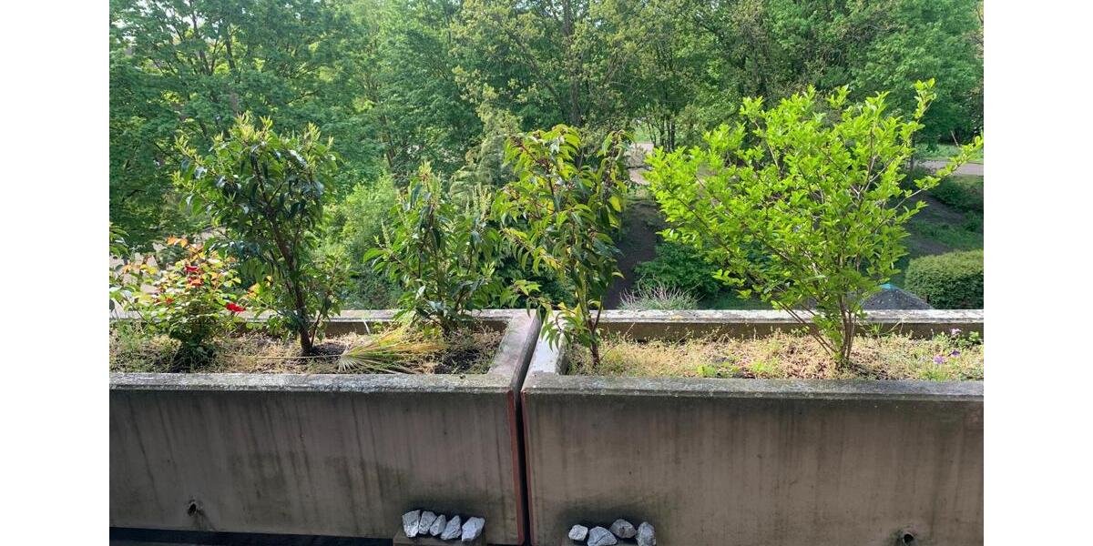 Etagenwohnung Dorsten Altstadt - 1 Zimmer, 38 m&sup2;, 350&euro; | Angebot:26335303