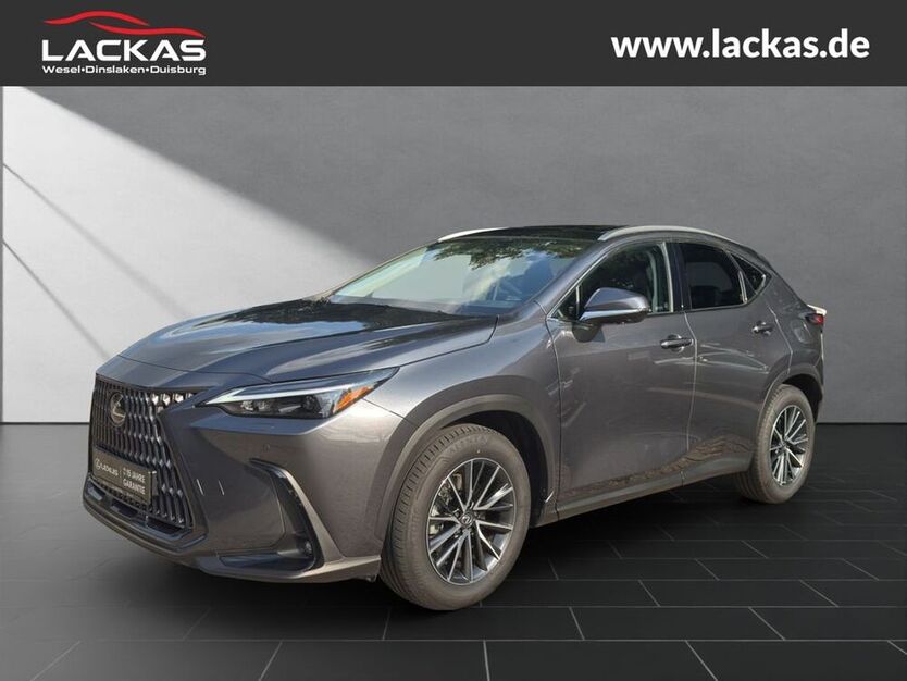 NX 350h