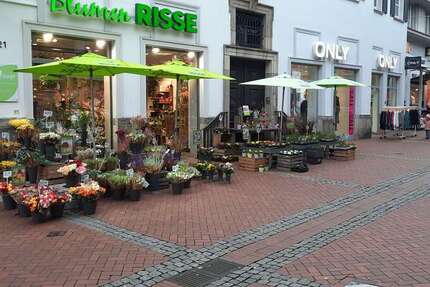 Büro in Gelsenkirchen 850 € 203 m² zimmer