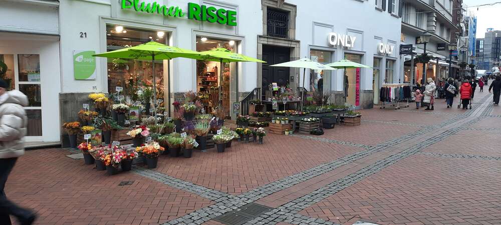 Büro in Gelsenkirchen 850 € 203 m² zimmer