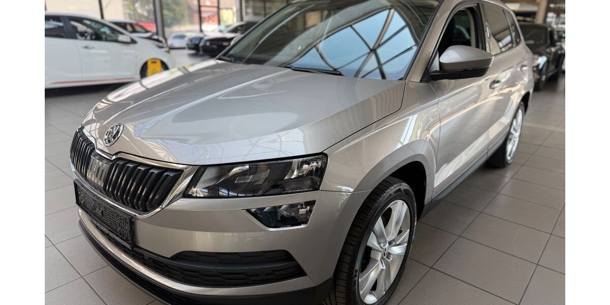 Skoda Karoq 125.000 km 18.890 &euro; Bottrop 46236