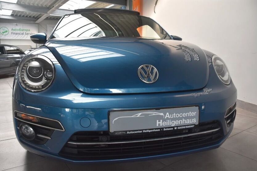 Beetle