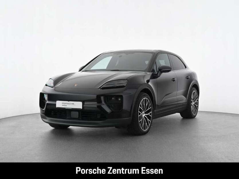 Macan