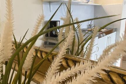 Wohnung Düsseldorf Pempelfort - 1 Zimmer, 27 m&sup2;, 850&euro; | Angebot:25349463