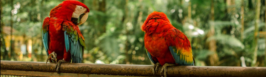 ZOOM Erlebniswelt Gelsenkirchen