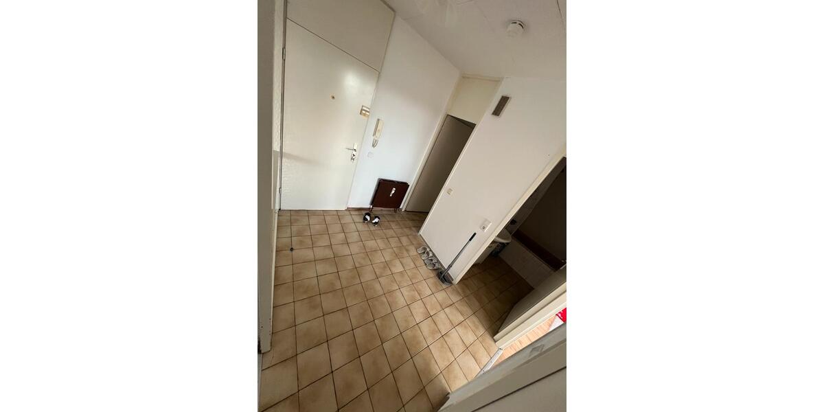 3 Zimmer Wohnung zimmer