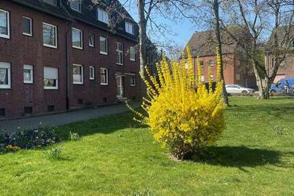 Wohnung zum Mieten in Oberhausen 565 € 66.43 m² 3 zimmer