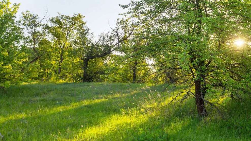 Grundstück zu verkaufen in Alpen 180.000 € 1541 m²
